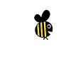 Pas folle la guêpe