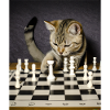 Cat plays chess