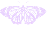 Mama Butterfly