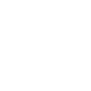 A Little Shark