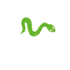 Snake Father
