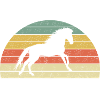 Chemise de cheval