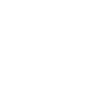 This guy loves dolphins