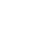 This girl loves dolphins
