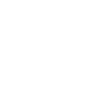 This girl loves dolphins