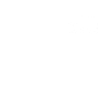 This guy loves elephants