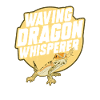 Bearded Dragon Lizard Reptile Herpetologist