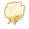 Bearded Dragon Lizard Reptile Herpetologist