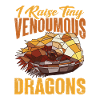 Bearded Dragon Lizard Reptile Herpetologist
