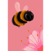 Hummel
