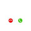 Bungee Jumping