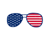 Airline Pilot Captain