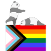 Gay Panda