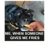 French fries dog
