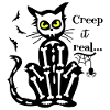 Crawl it real skeletal cat