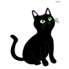 cute black cat