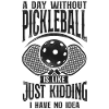 Pickleball A Day Without