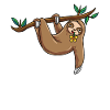 Sloth