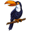 Toucan Bird
