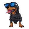 Cool Dachshund Dachshund