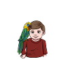 Yellow parrot