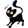 Black Blep Cat
