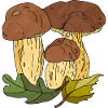 Pilze