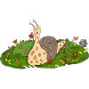 Snail