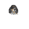Bluetick Coonhound Gift Funny Saying