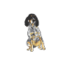 Bluetick Coonhound Gift Funny Saying