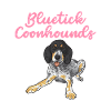 Bluetick Coonhound Cadeau Drôle Dicton