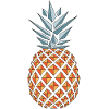 Pineapple vector