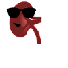 Dialyse Niere Dialyseklinik