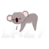 Lazy Koala