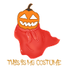 this is my costume,pumpkin,halloween