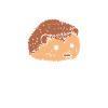 Can't touch the hedgehogs