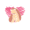 Câlins d’un hérisson