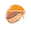 Search Sharp Hedgehog