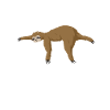 Super sloth