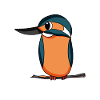 Kingfisher Blue Bird
