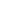 phoques phoques phoques animaux