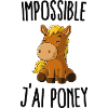 Impossible j'ai poney