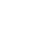 Palm - Île Indonésie Bali