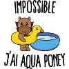 Impossible j'ai aqua poney