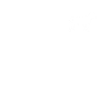 Typ Hund Spruch