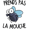 Prends pas la mouche