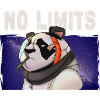 Panda on space