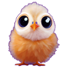 funny chicks