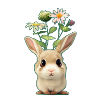 little rabbit 1