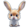 little rabbit 5